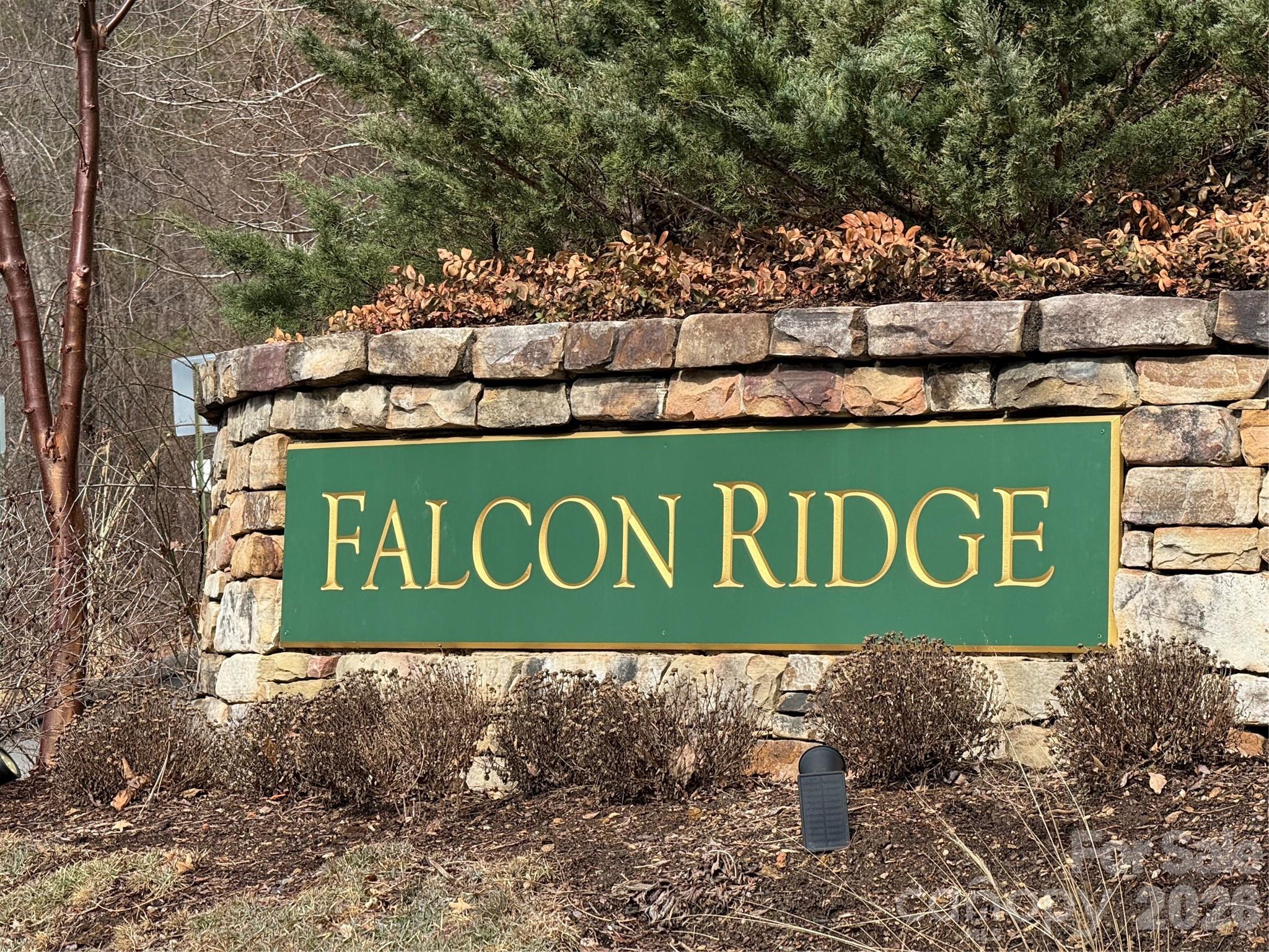 Falcon Ridge at Haw Creek - Residential
