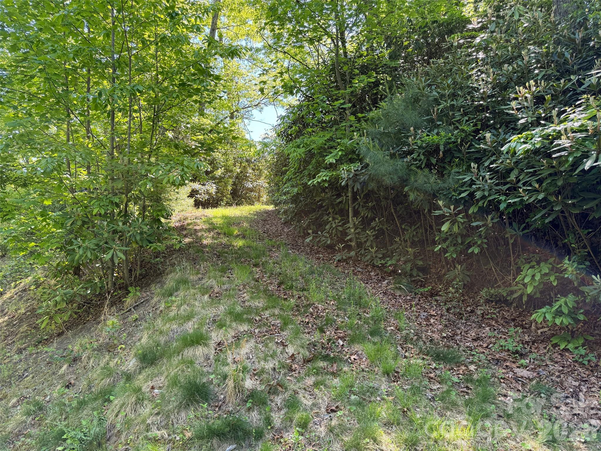 The Reserve - Land