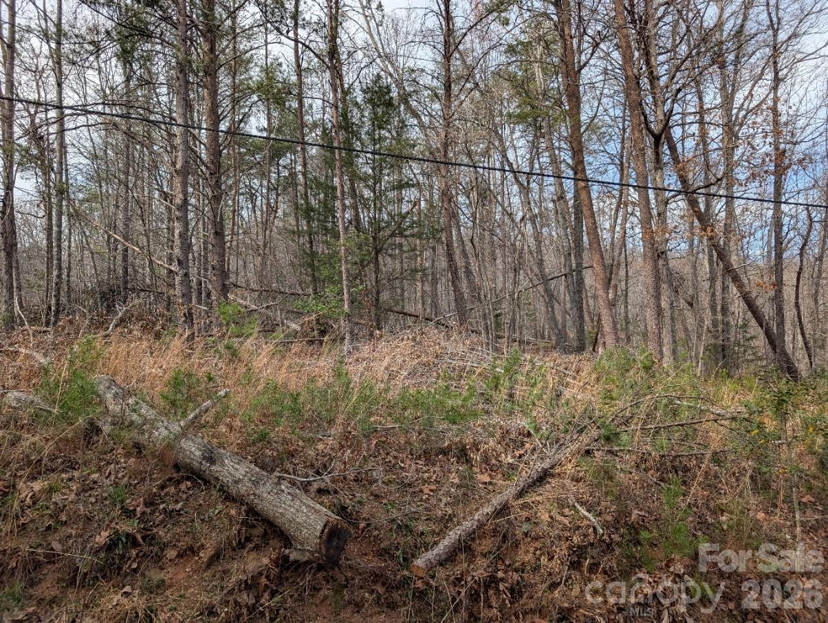 4960 Singleton Drive