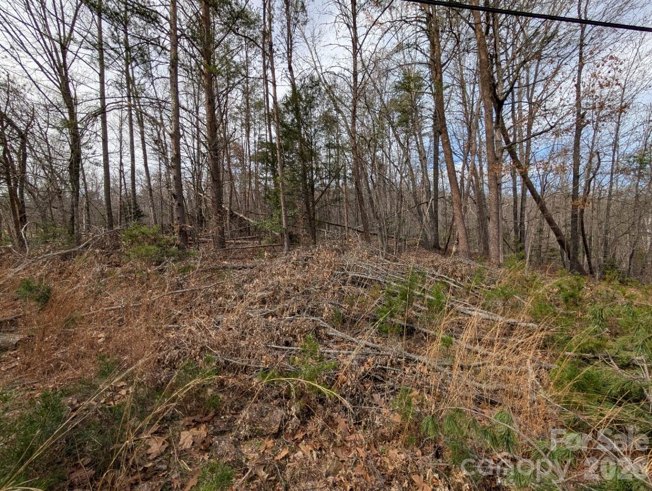 4960 Singleton Drive