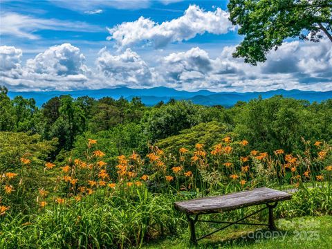 Photo of 170 Twin Springs Road, Hendersonville, NC 28792 (MLS # 4273179)