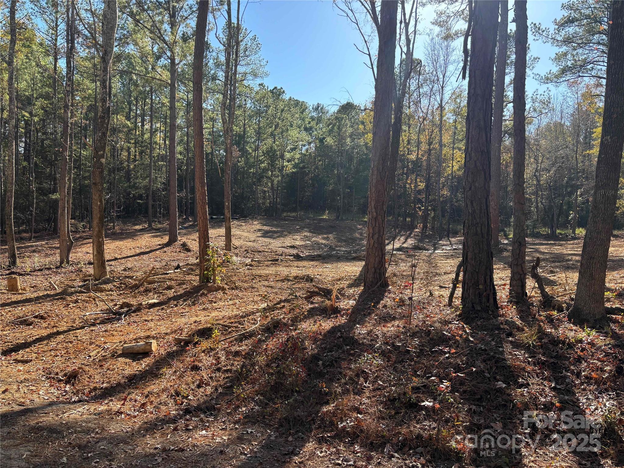 TBD Sunnyside Drive 14 & 15