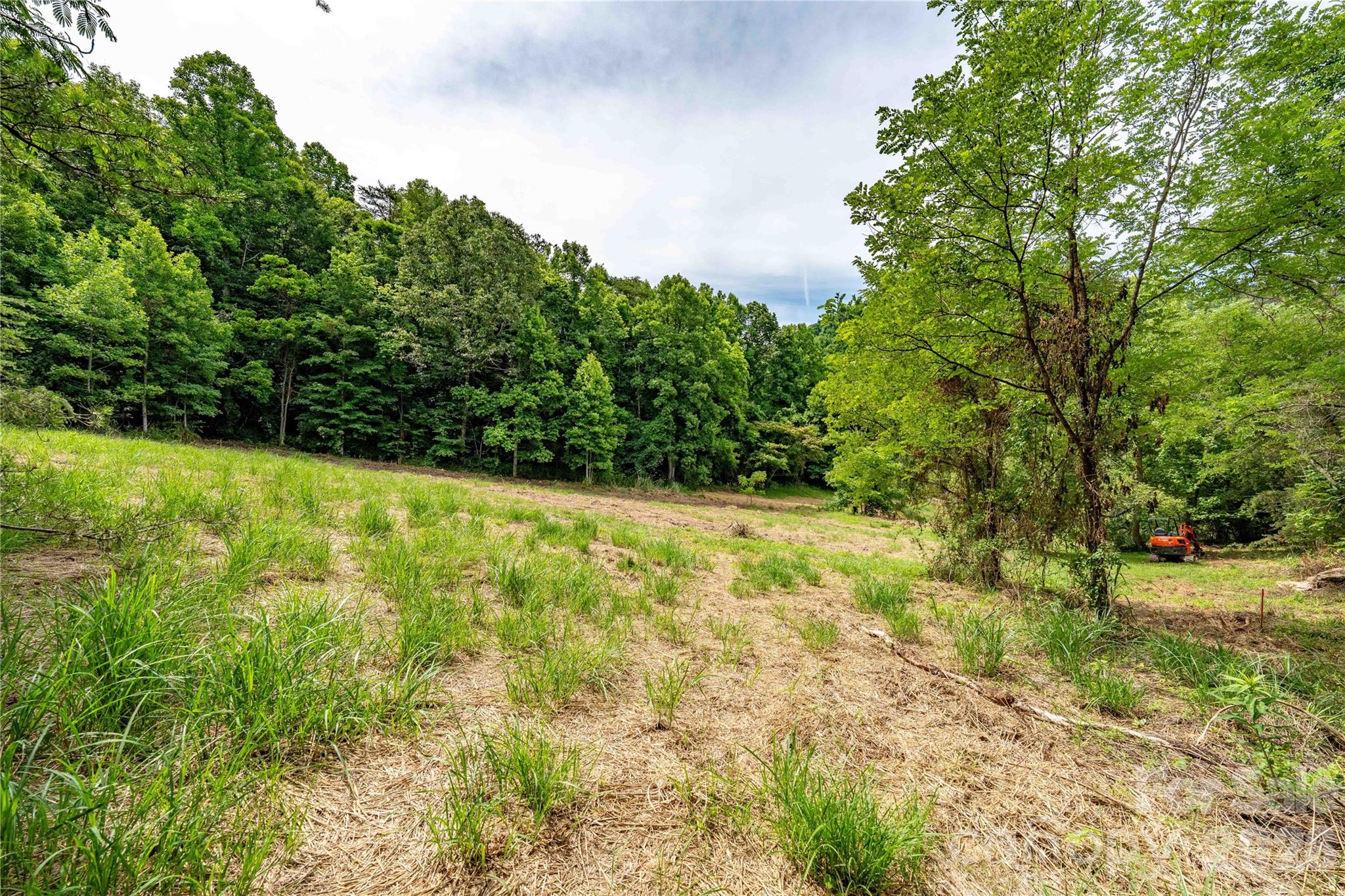 9999 Morgan Branch Road