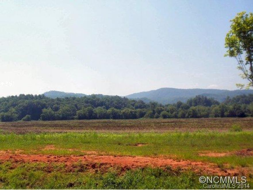 Beautiful mountain view home site at Waters Edge in Etowah. Pastoral setting with year round mountain views. Paved streets and city water available. House plans must be approved by the developer. Owner Financing possible to qualified buyers. Call Listing Agent for details.