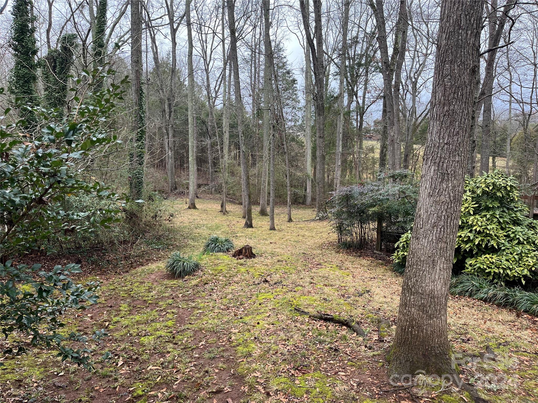 Bethesda Estates - Residential