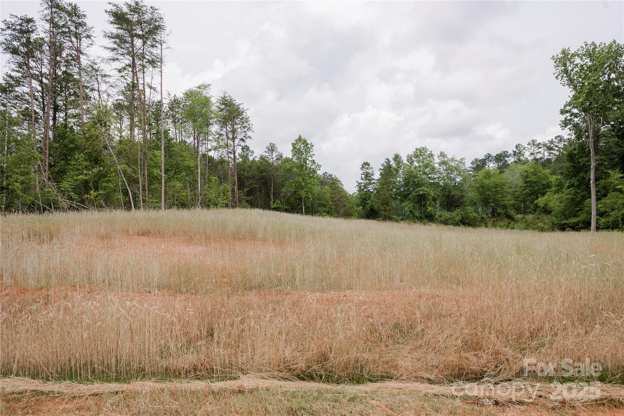 Southern Pine Lake - Land