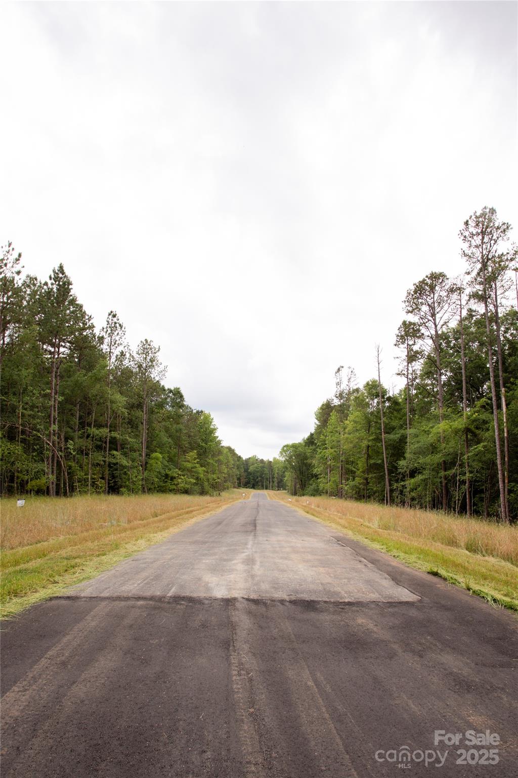 Southern Pine Lake - Land