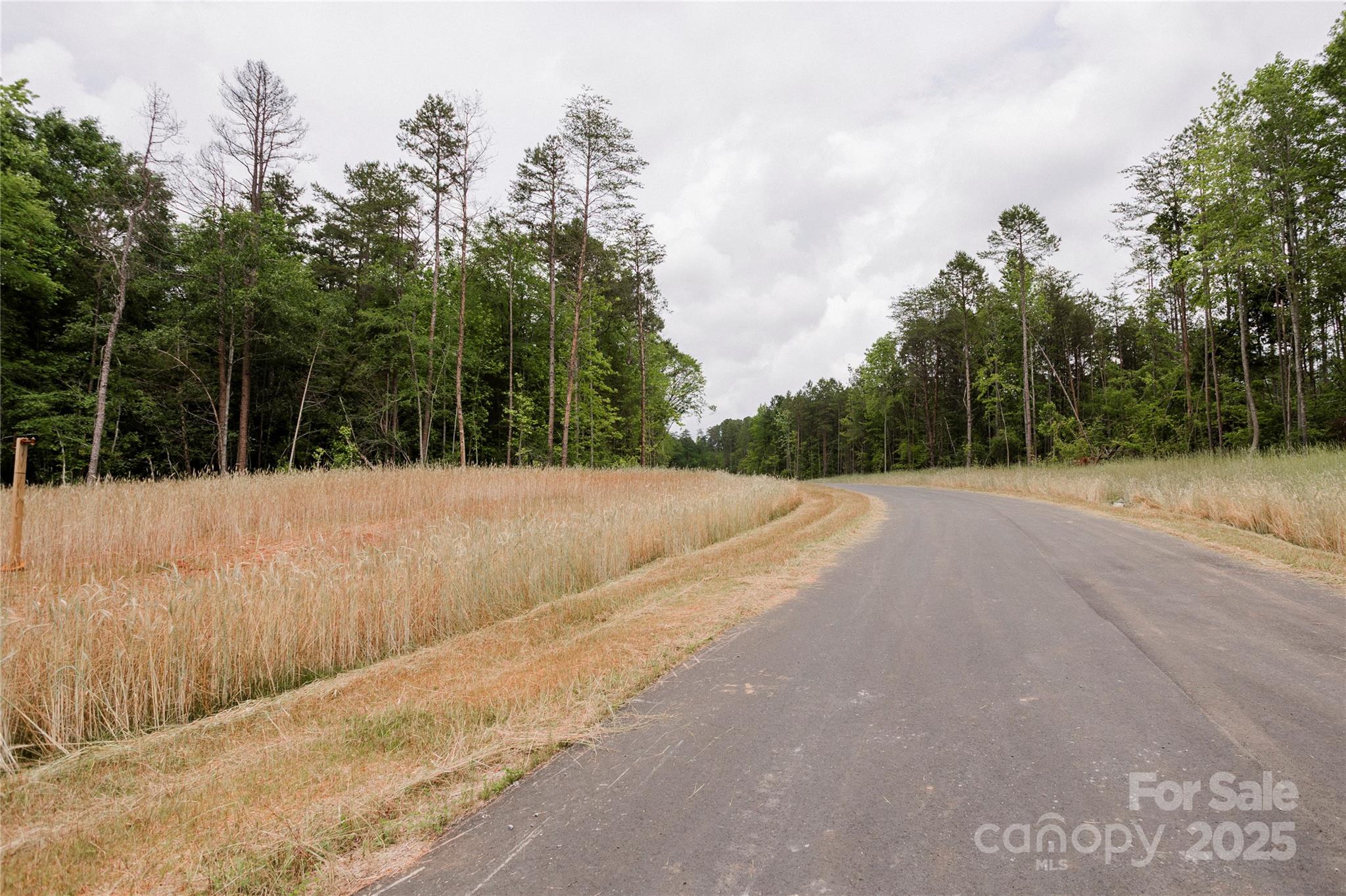 Southern Pine Lake - Land