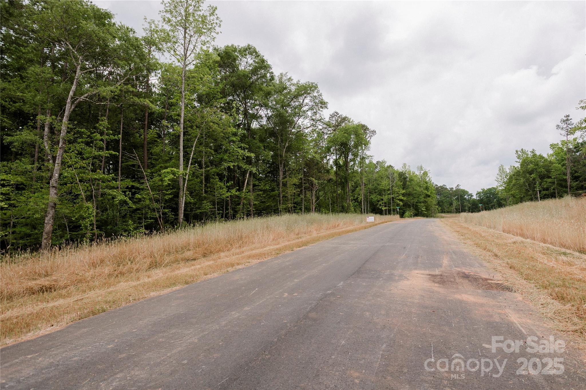 Southern Pine Lake - Land