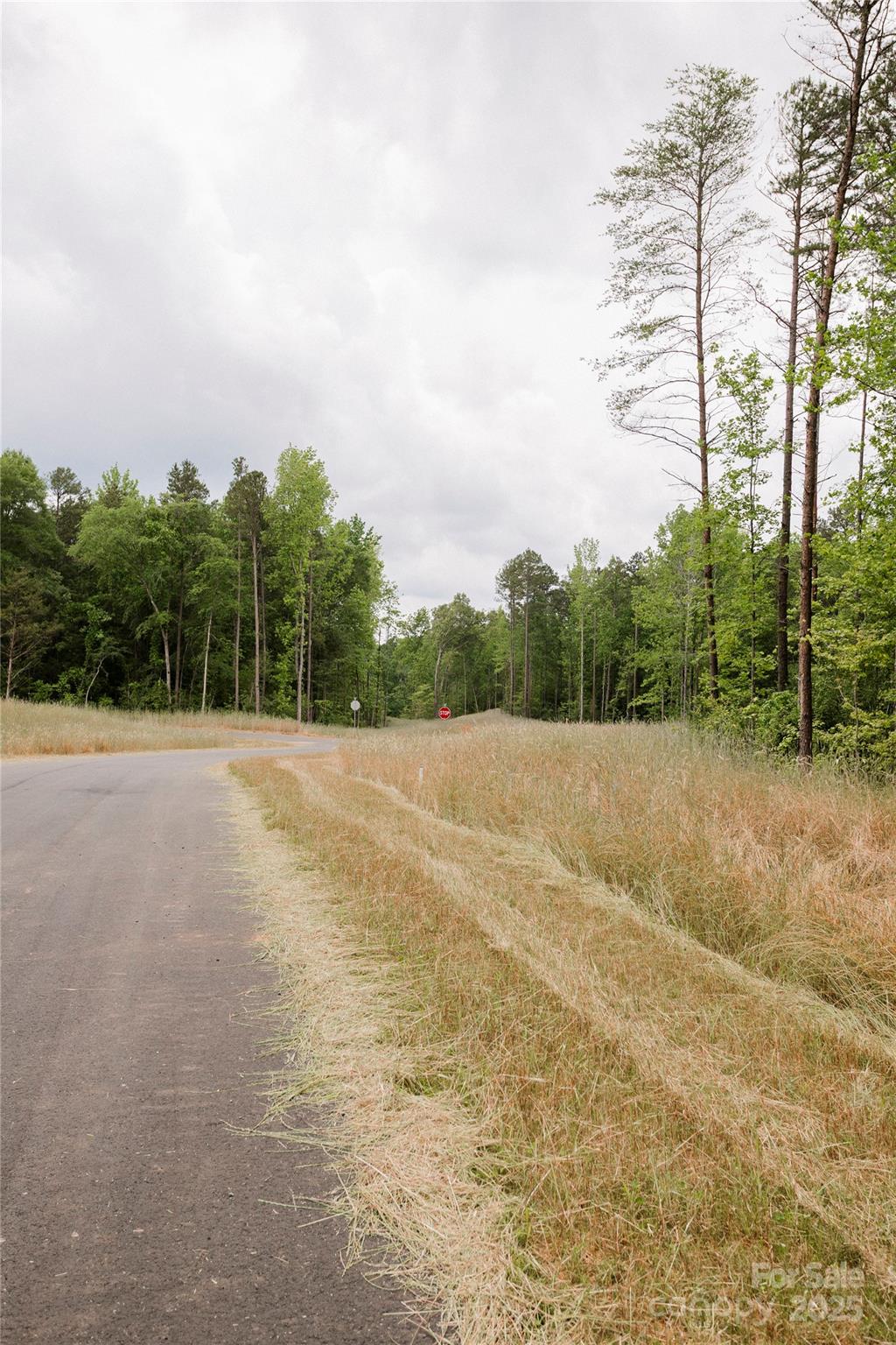 Southern Pine Lake - Land