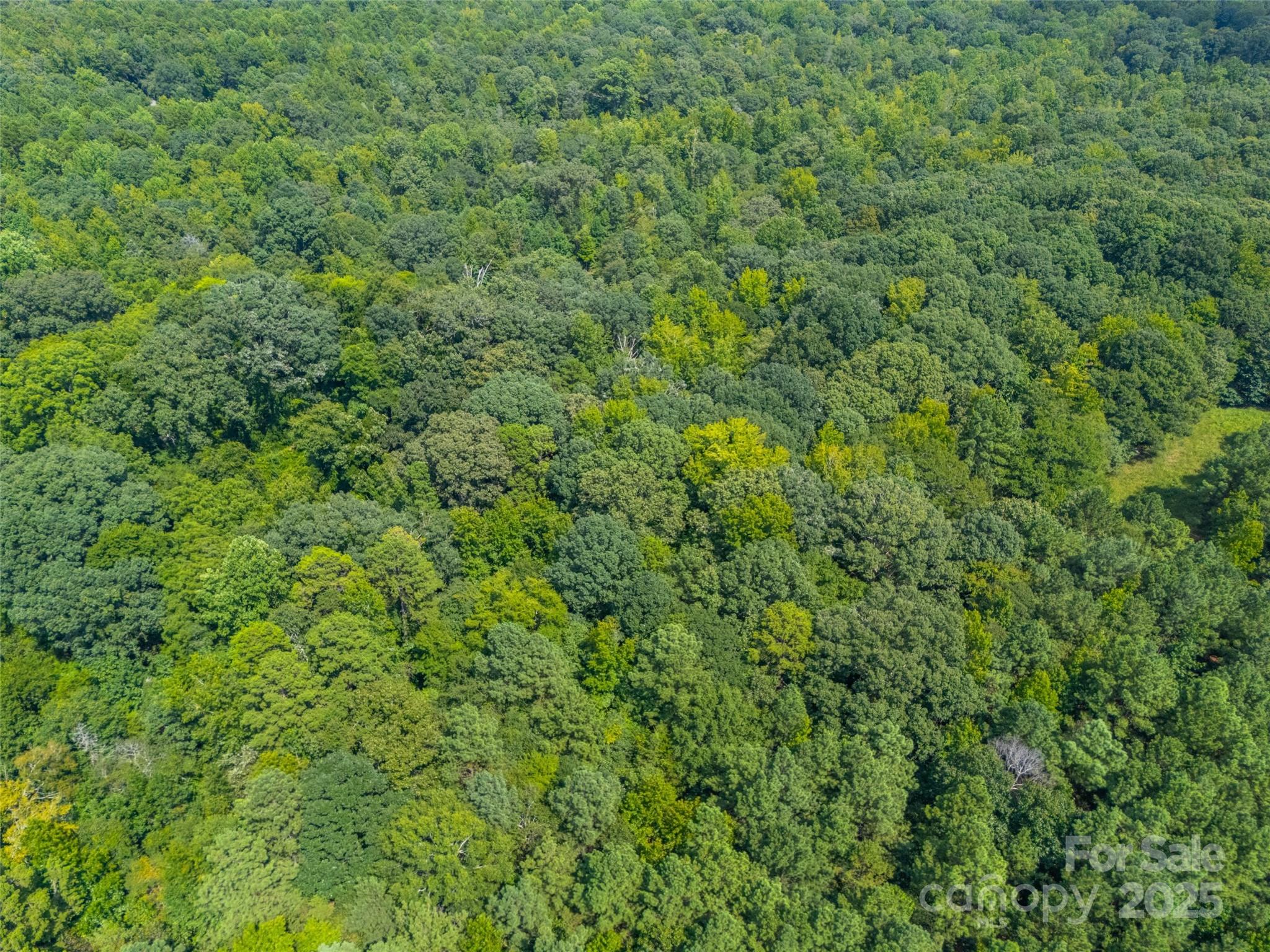 57 Acres Woodstock Drive