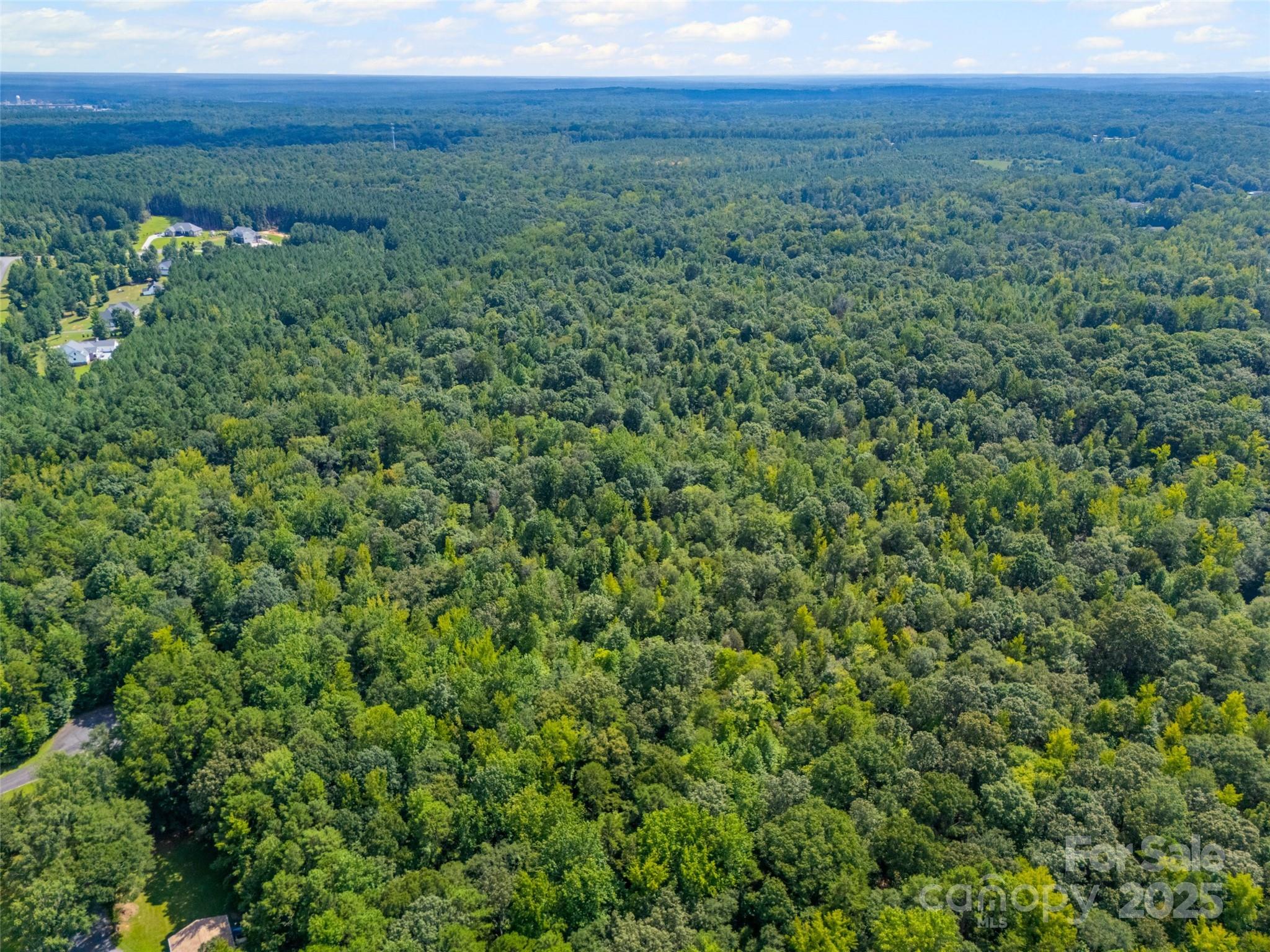 57 Acres Woodstock Drive