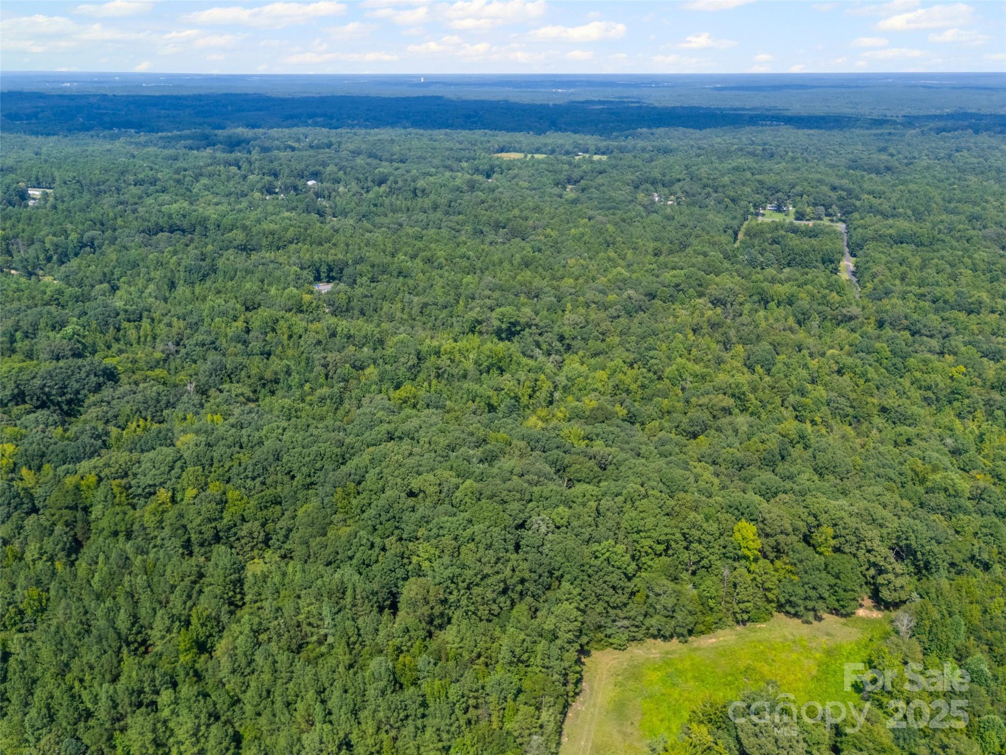 57 Acres Woodstock Drive