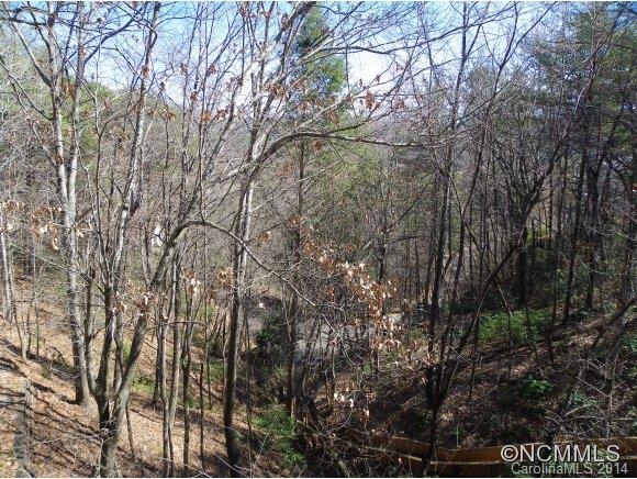 Rumbling Bald on Lake Lure - Residential
