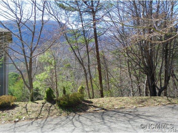Rumbling Bald on Lake Lure - Residential