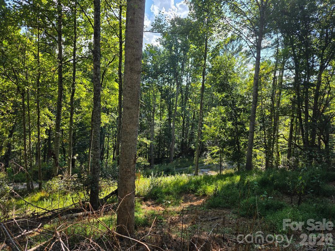 181 Poison Ivy Drive