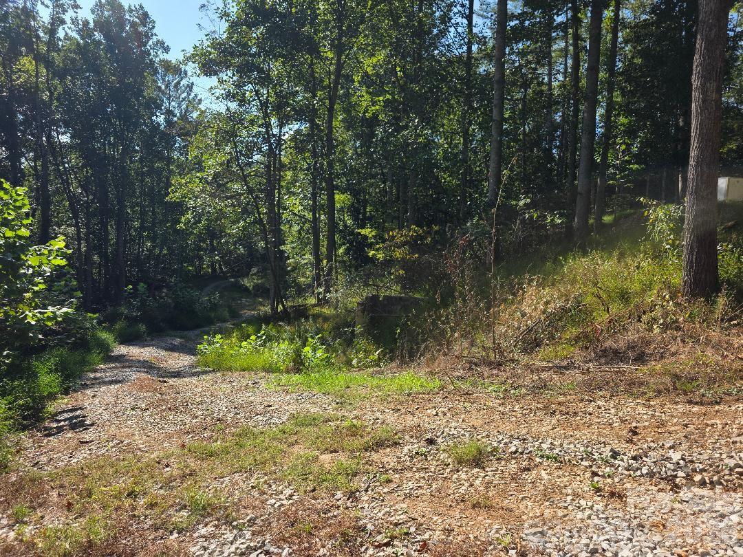 181 Poison Ivy Drive