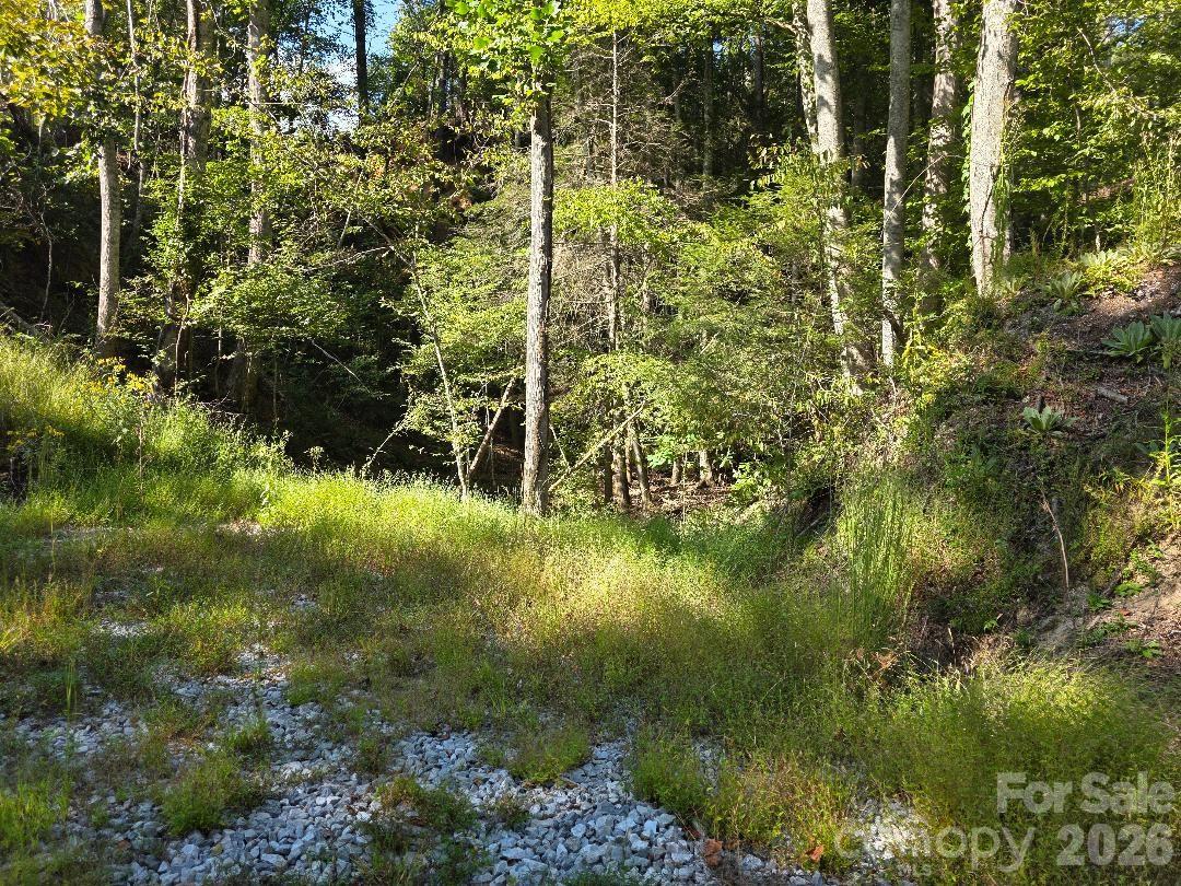 181 Poison Ivy Drive