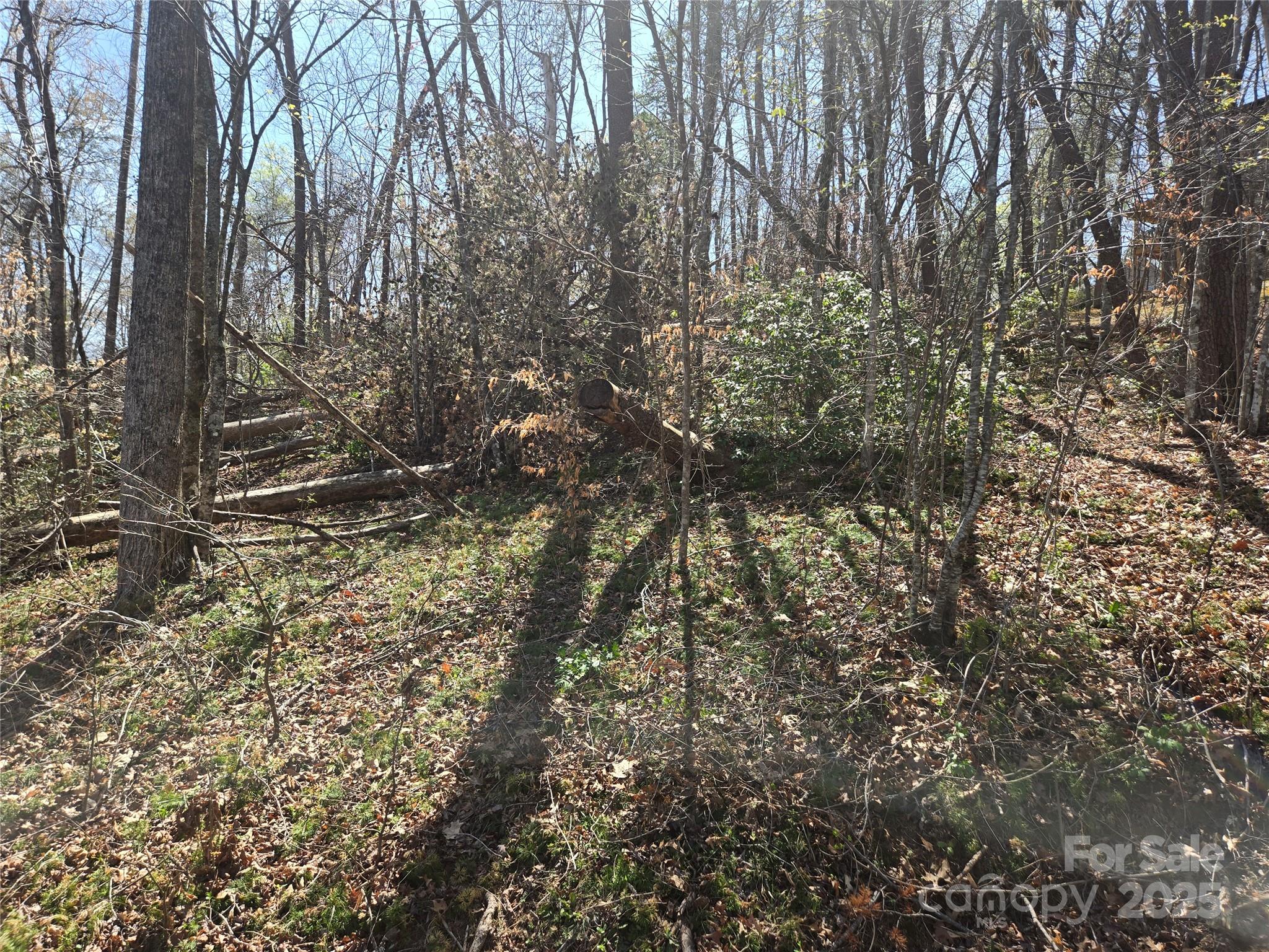 Rumbling Bald on Lake Lure - Land
