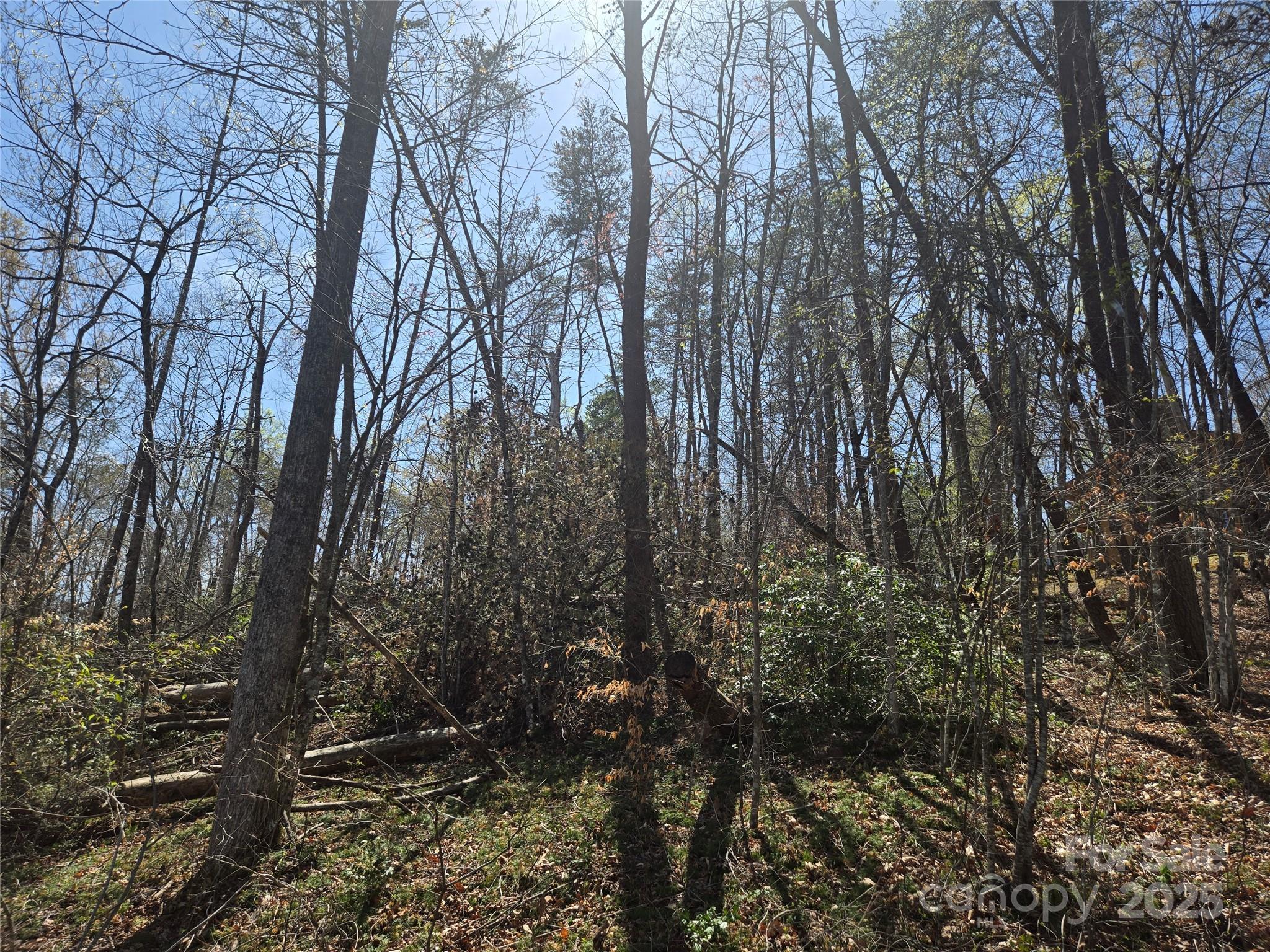 Rumbling Bald on Lake Lure - Land
