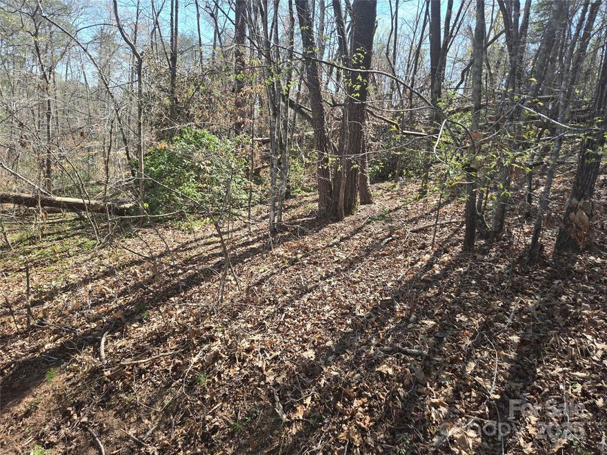 Nice corner lot in Rumbling Bald on Lake Lure.  Just a short walk from Apple Valley Golf Course and the Apple Valley Pool.  Paved road frontage with underground utilities including water, power, and High-Speed Fiber Optic Internet.  A wonderful setting in this community which includes a private beach on Lake Lure, two Championship Golf Courses, three restaurants, Wellness Center, Spa and Salon, Tennis Courts, and much, much more!