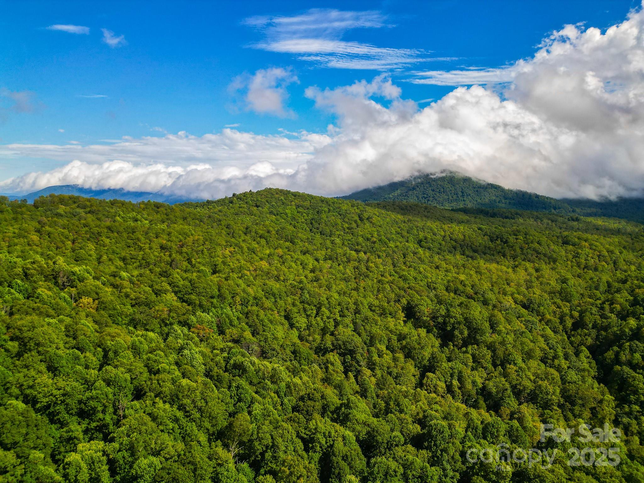 Forest Brook Estates - Land