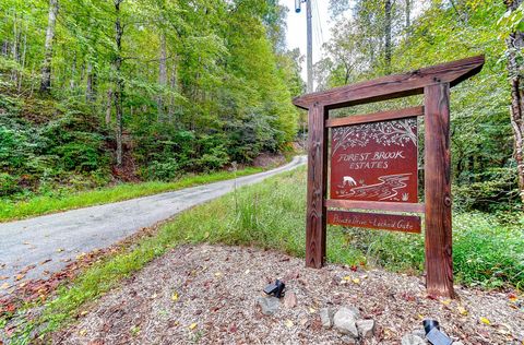 Photo of 99999 Brook Drive, Black Mountain, NC 28804 (MLS # 4308742)
