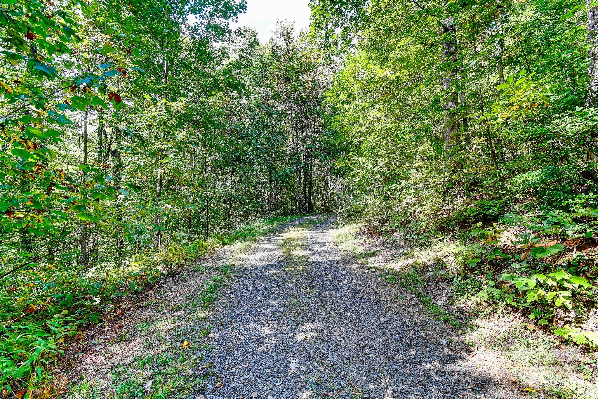 99999 Forest Brook Drive