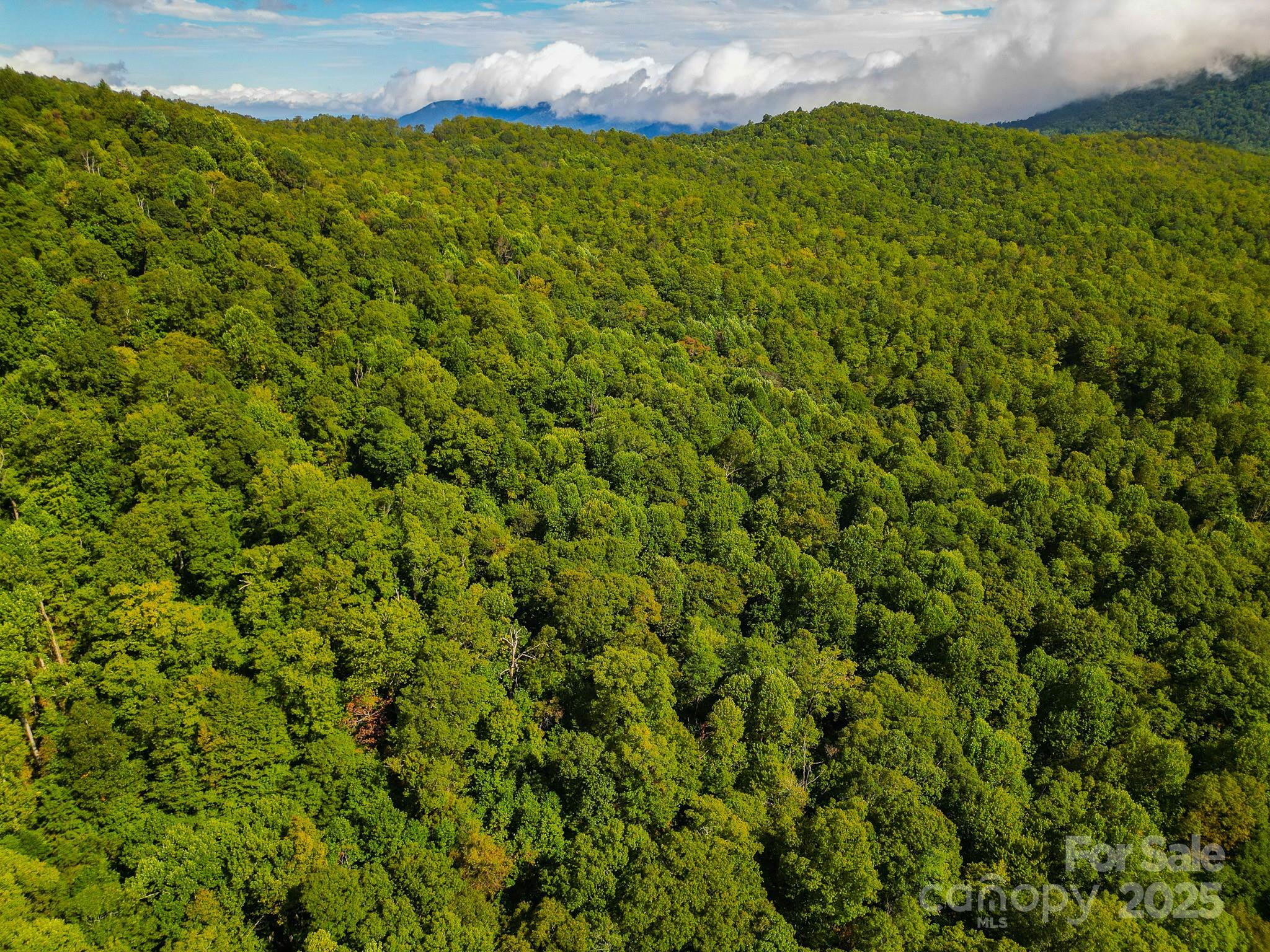 Forest Brook Estates - Land