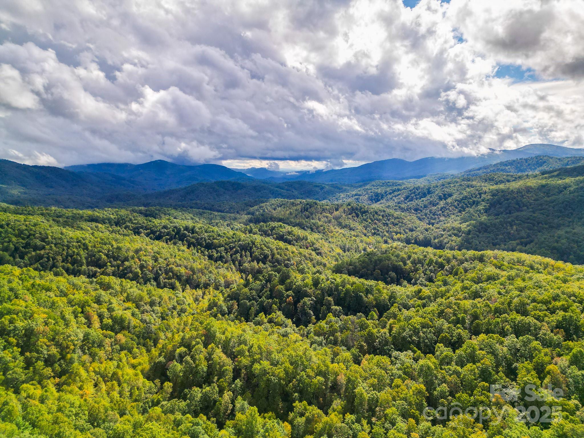 Forest Brook Estates - Land