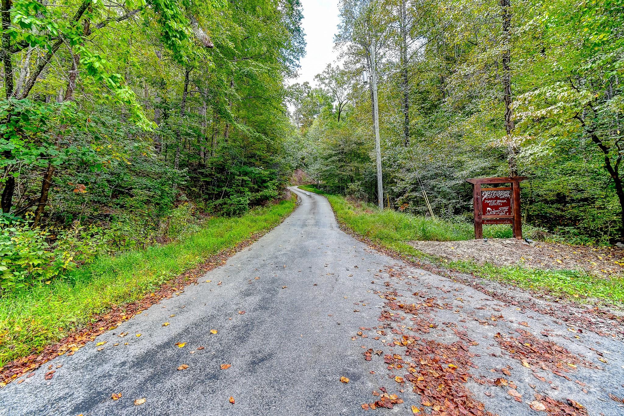 Forest Brook Estates - Land
