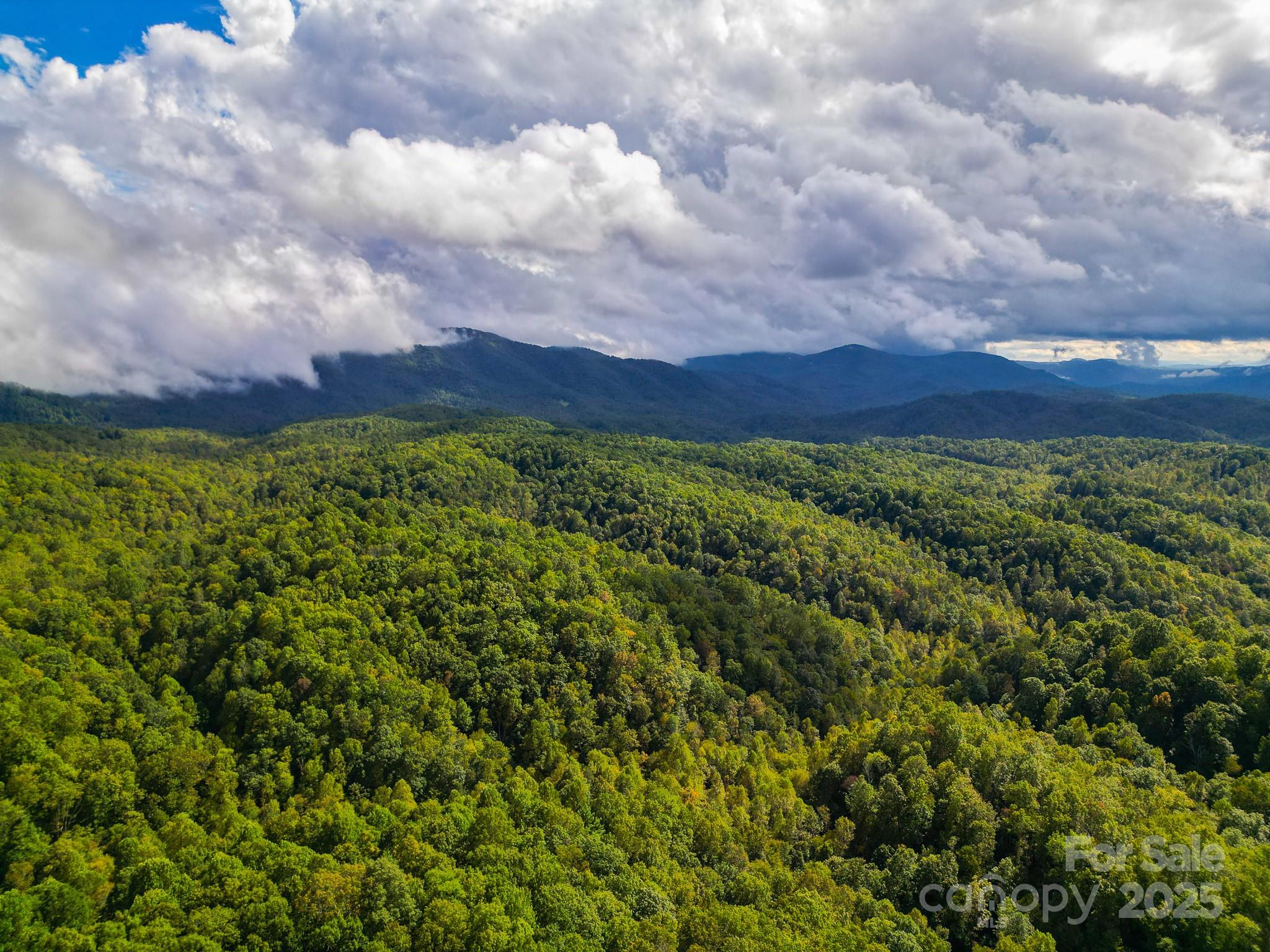 Forest Brook Estates - Land