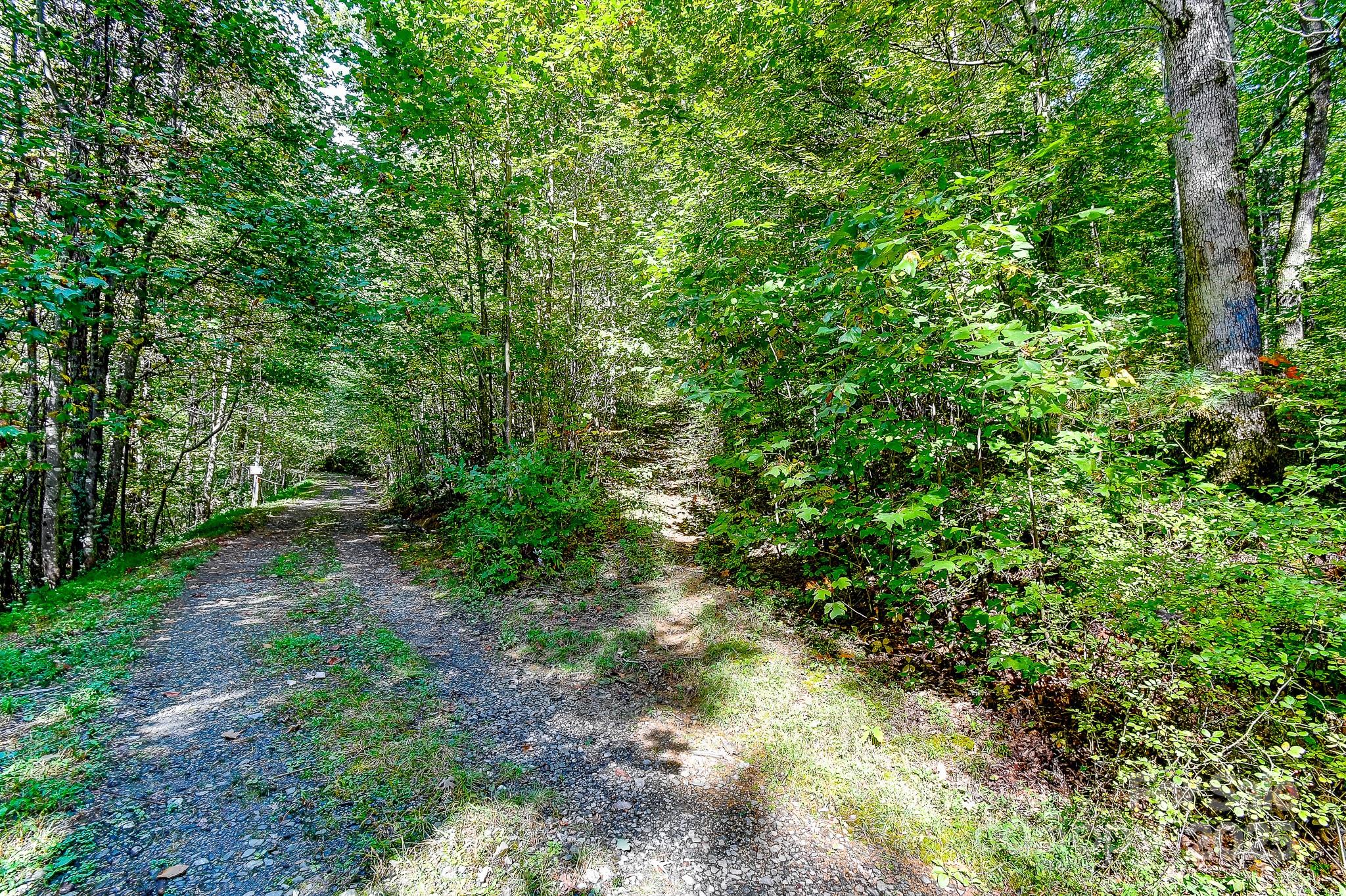 99999 Forest Brook Drive