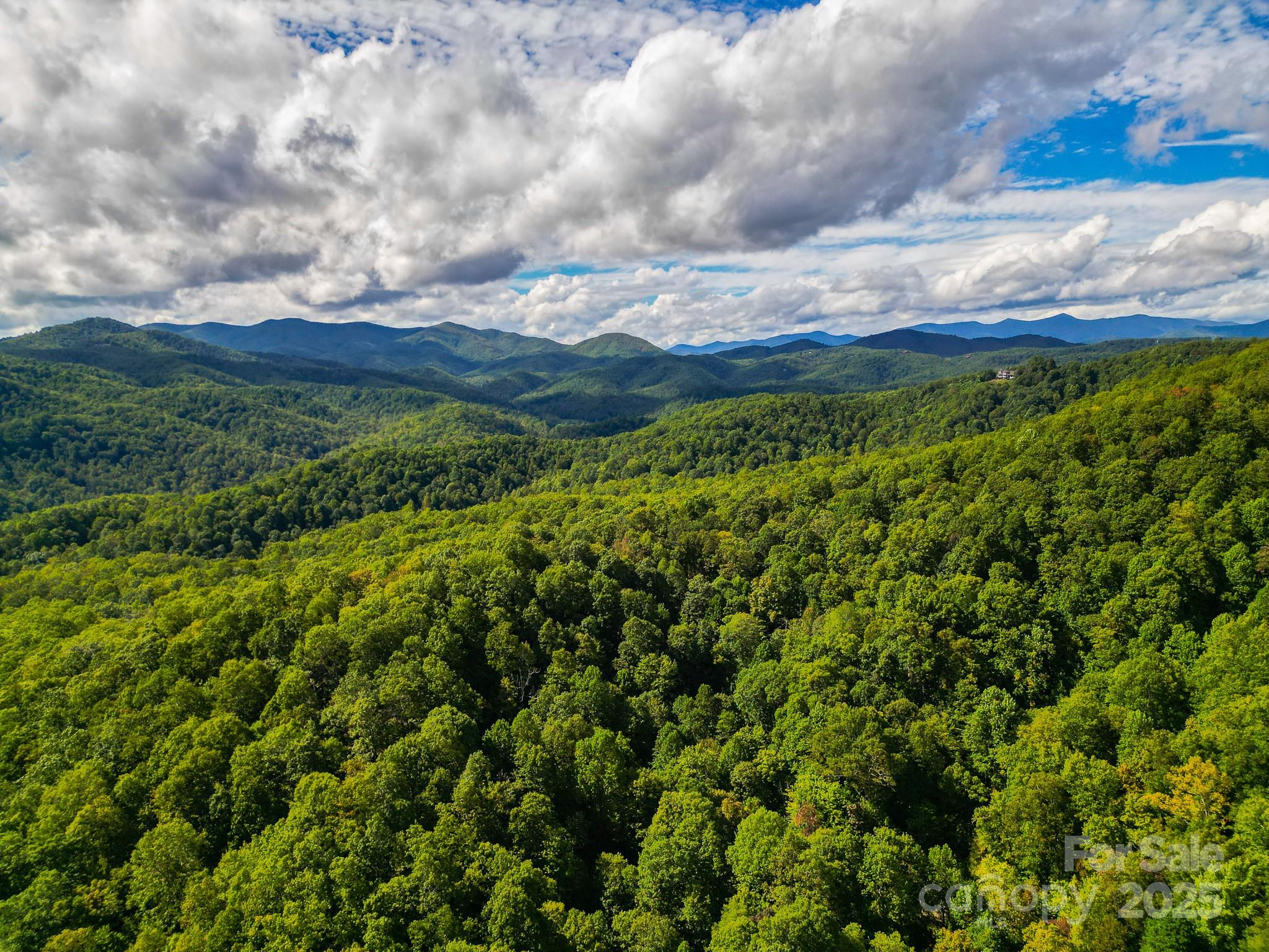 Forest Brook Estates - Land