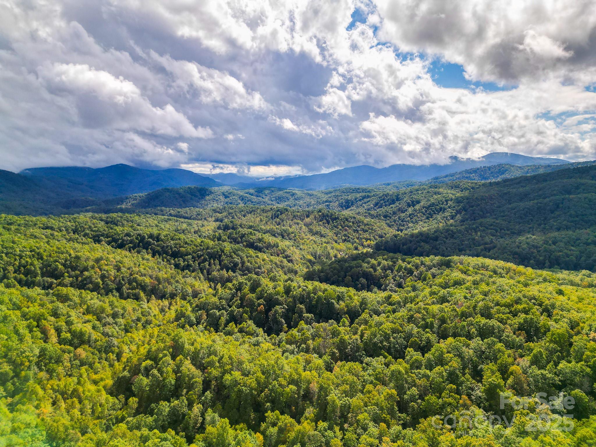 Forest Brook Estates - Land