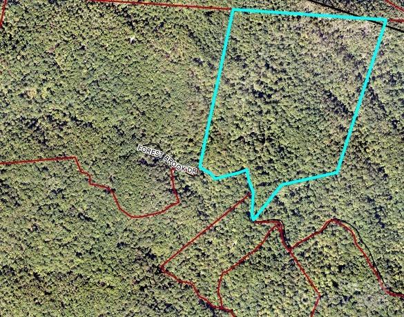 Forest Brook Estates - Land