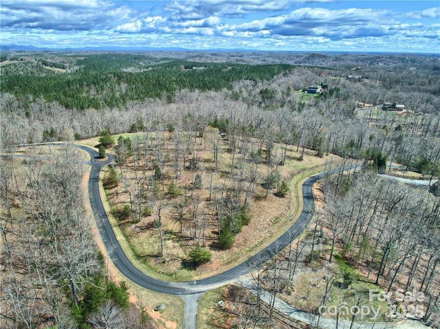 Amazing views from this beautiful property in Lake Adger! This property is located in the Lake Adger community that is less than an hour from Hendersonville and a little over an hour from Asheville. Build your dream home with views and still have room to build a horse barn or detached garage.  Great fishing on the lake and the lot comes with a private boat slip at the marina. This is the place to enjoy the good life. The community equestrian trail borders the north boundary for hours of hiking or riding fun. Lake Lure is just minutes up the road with Charlotte only about 1.5 hours away. No steep roads to access a great view is hard to find. It even comes with a gazebo! Call and get more info today. This property was subject to a fire and has some burned trees. Nature is already growing back.