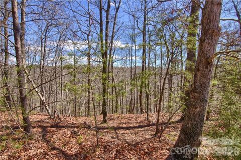 00 N Boundary Road 51/52 Mill Spring NC 28756