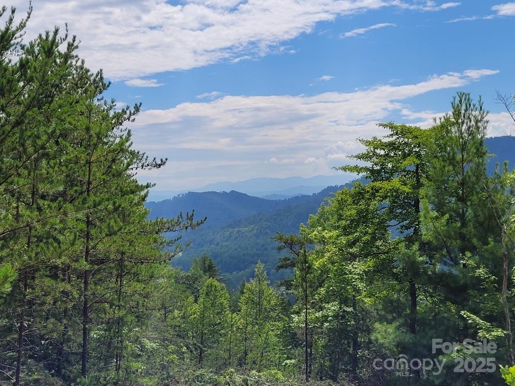 0 Oconee Drive