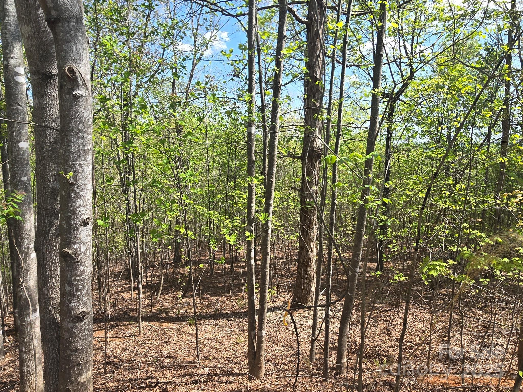 Lot 13 Back Hollow Drive