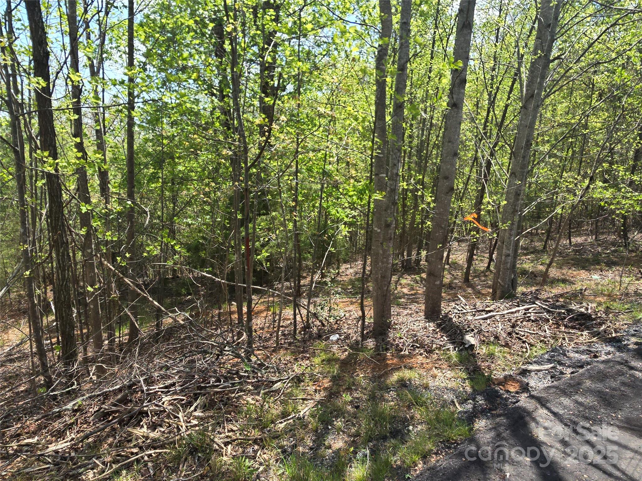 Rumbling Bald on Lake Lure - Land
