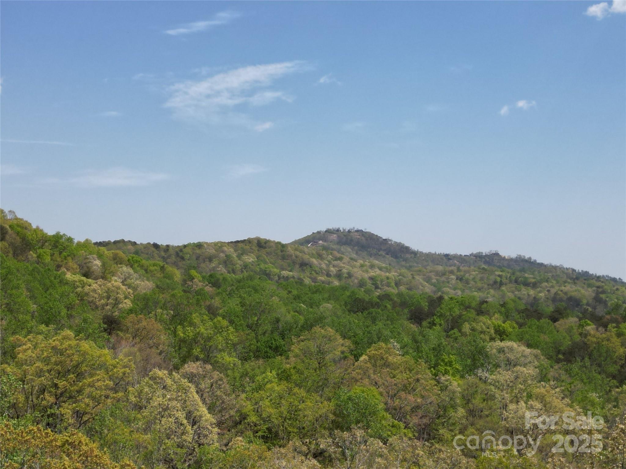 Lot 13 Back Hollow Drive