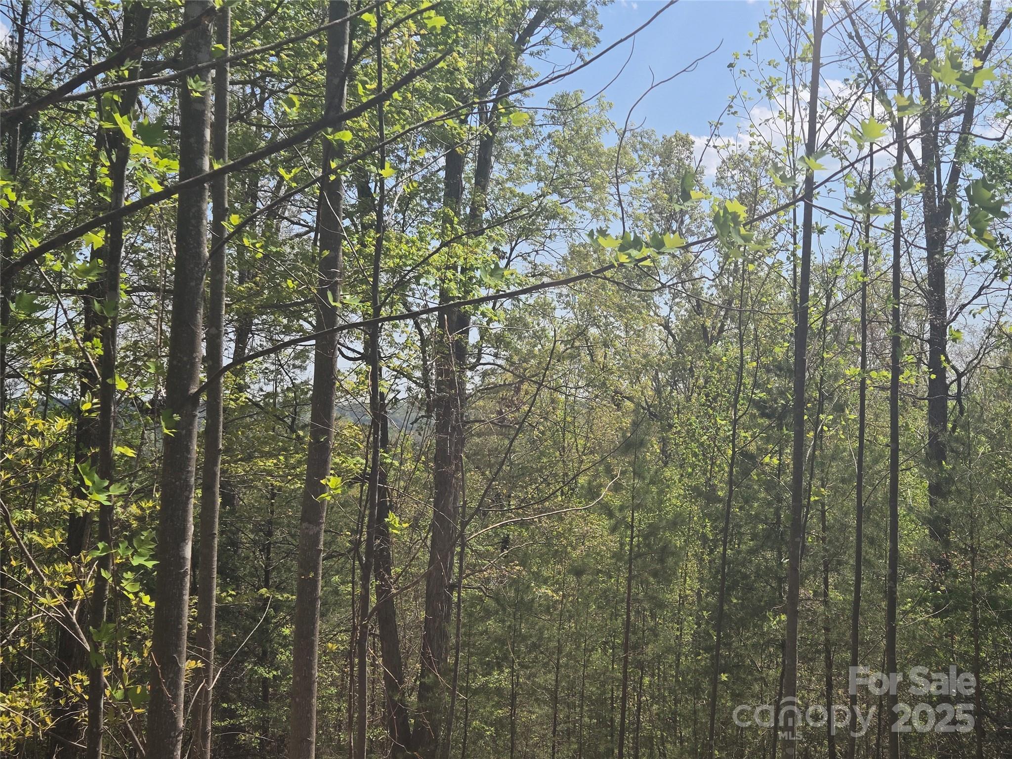 Rumbling Bald on Lake Lure - Land