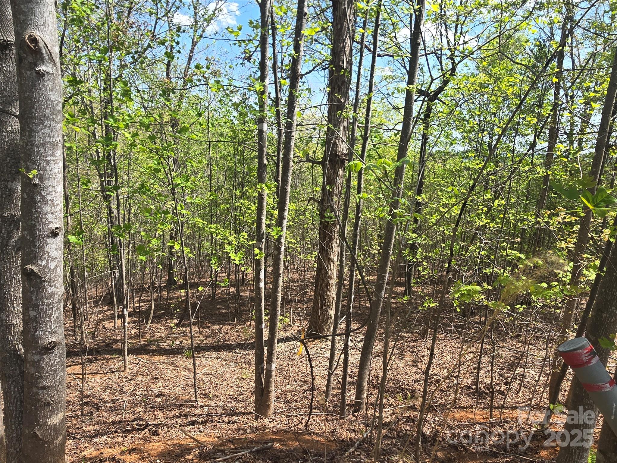 Lot 13 Back Hollow Drive