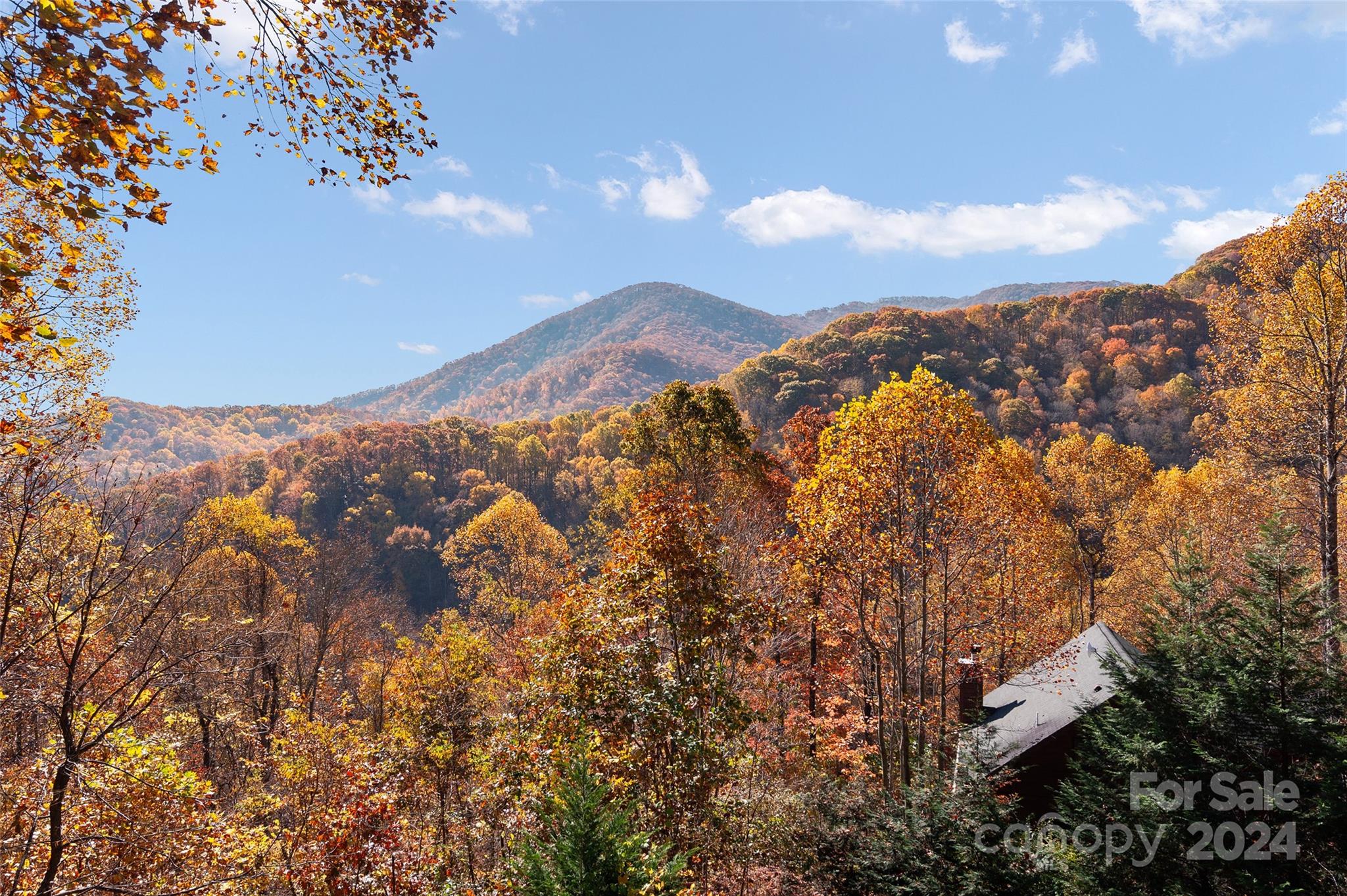 314 Prosperity Ridge