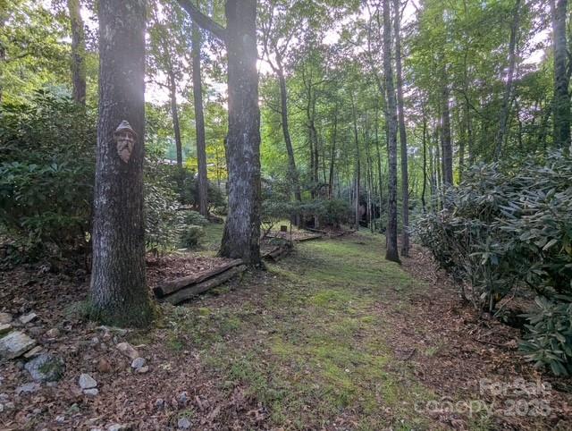 Bearwallow - Residential