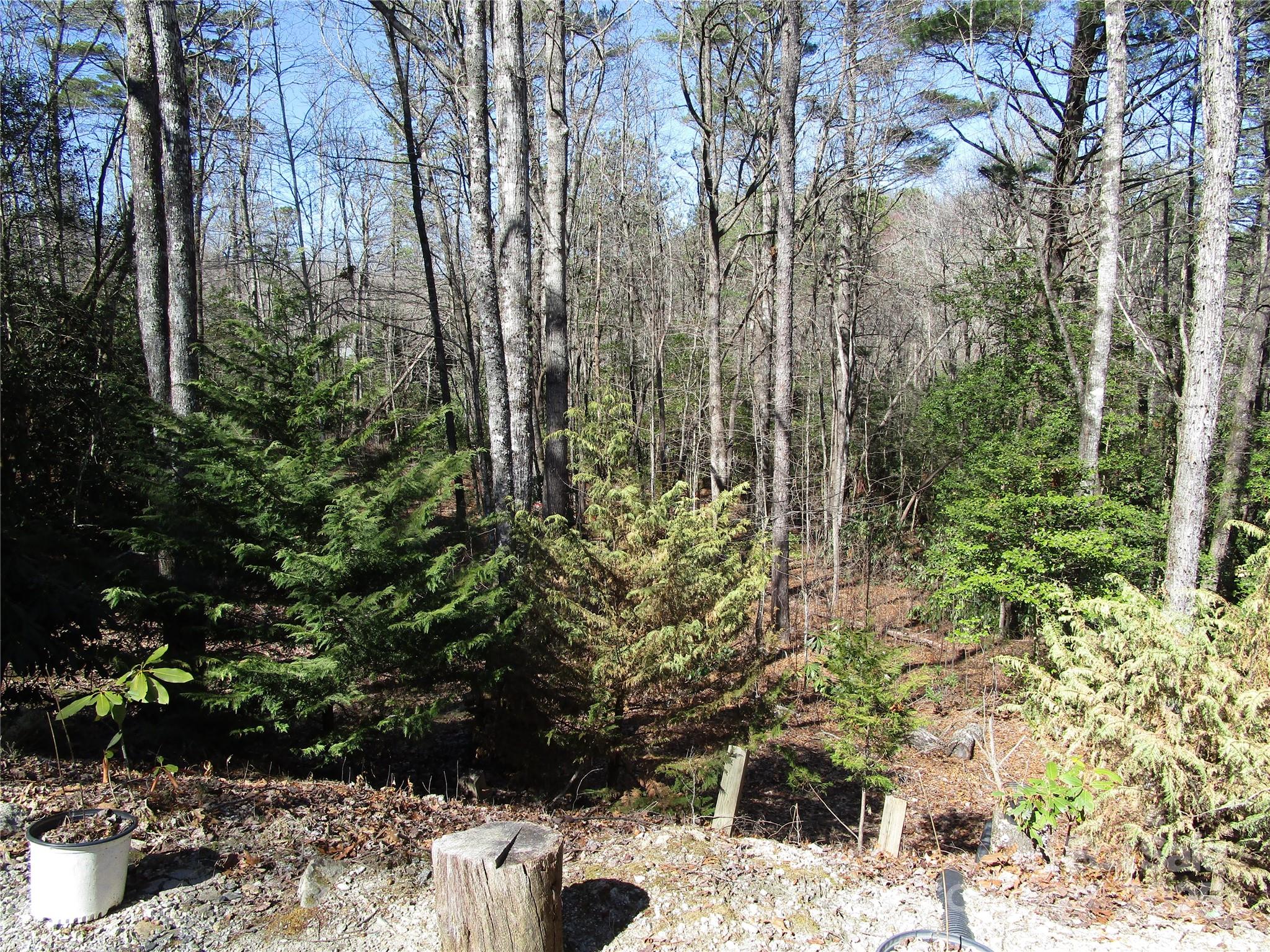 Bearwallow - Residential