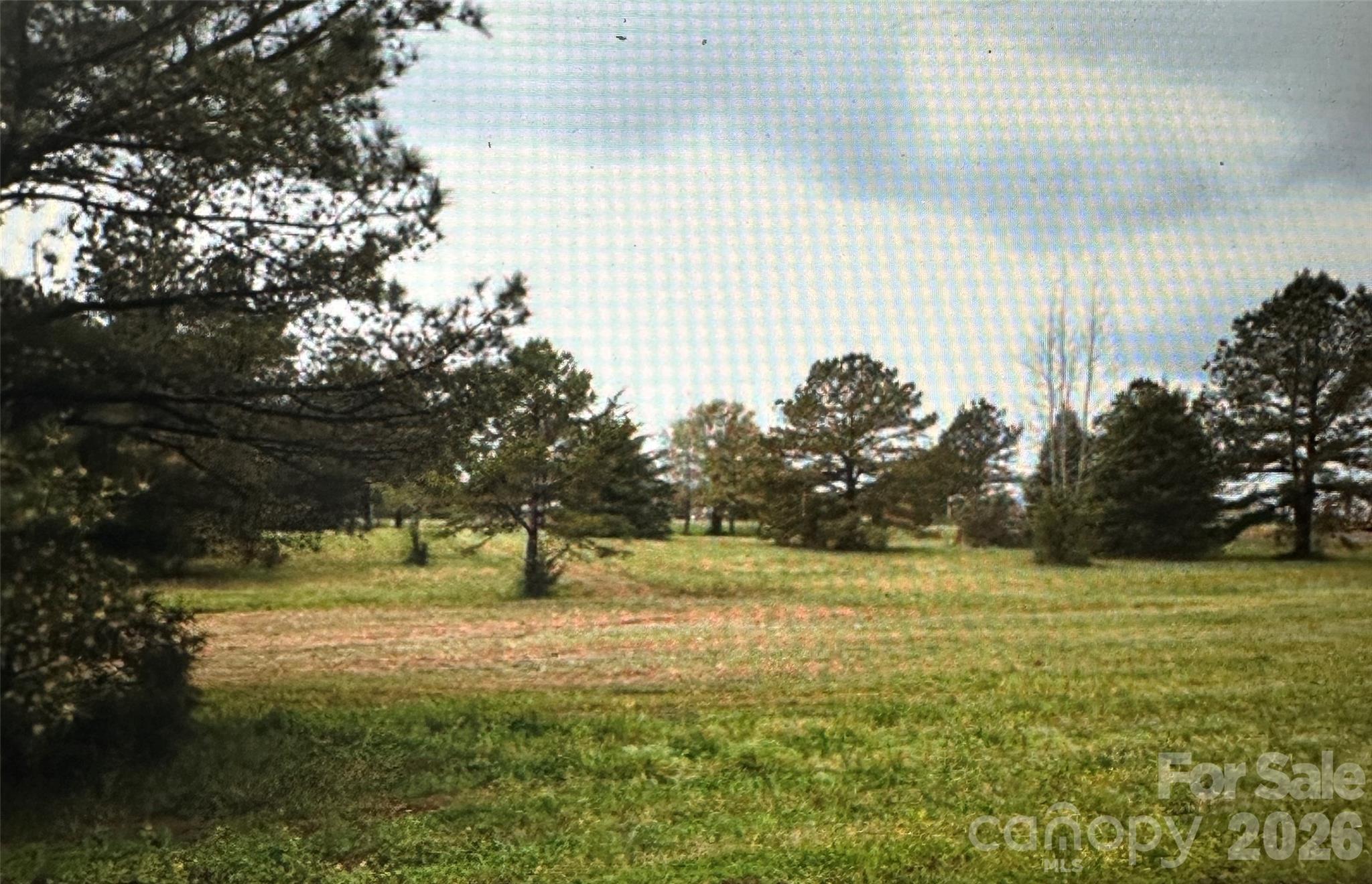 Rolling Meadow - Land