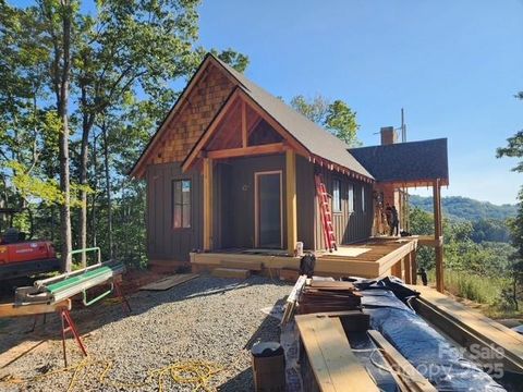 Photo of 371 E Falls View Drive, Pisgah Forest, NC 28768 (MLS # 4242719)