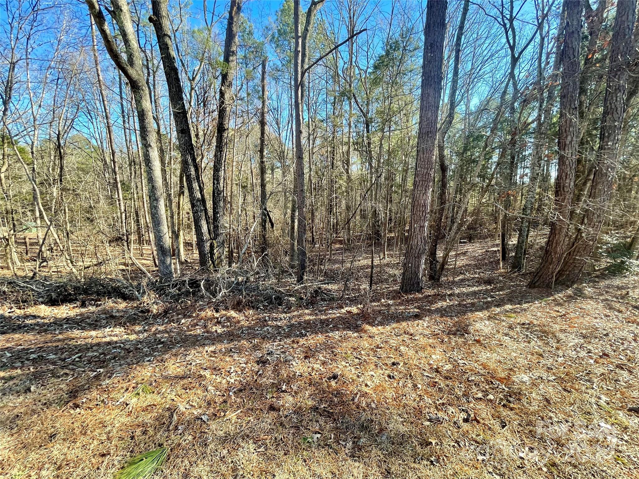 Waxhaw Village - Land